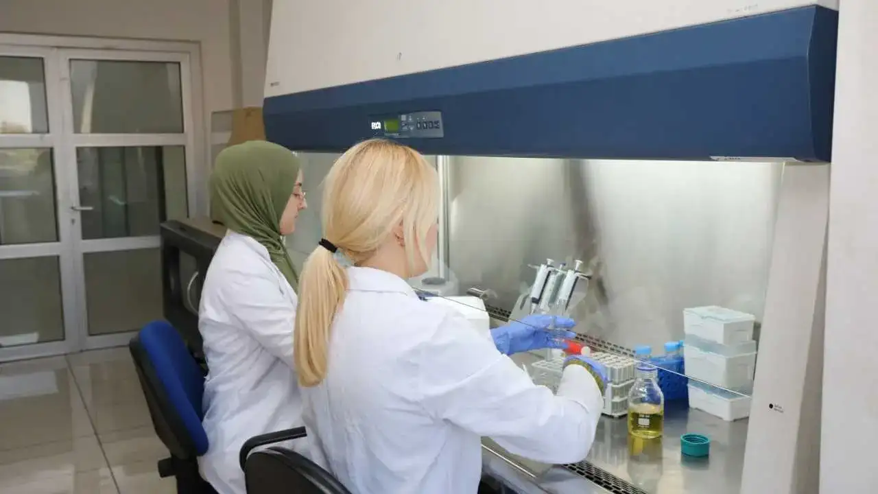 Akdeniz Üniversitesi’nin Yükselişine YÖK Raporuyla Tescil! 3